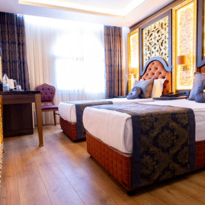 Deluxe Double or Twin Room