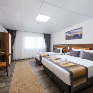 Deluxe Triple Room