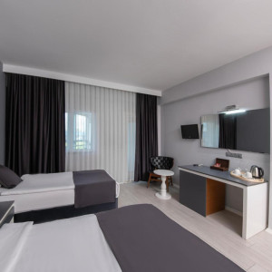 Deluxe Triple Room