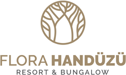 Flora Handüzü Resort & Bungalow