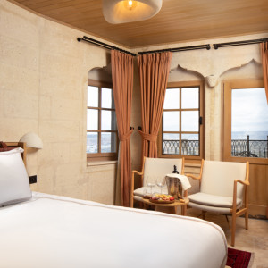 Standard Panoramic Room