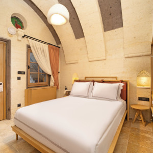 Standard Pool Side Double Room