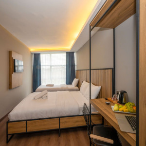 Deluxe Double or Twin Bed Room