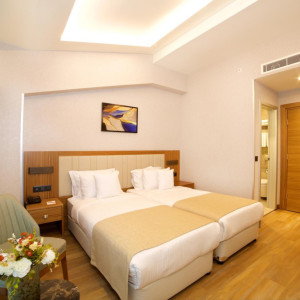 Standard Double or Twin Room
