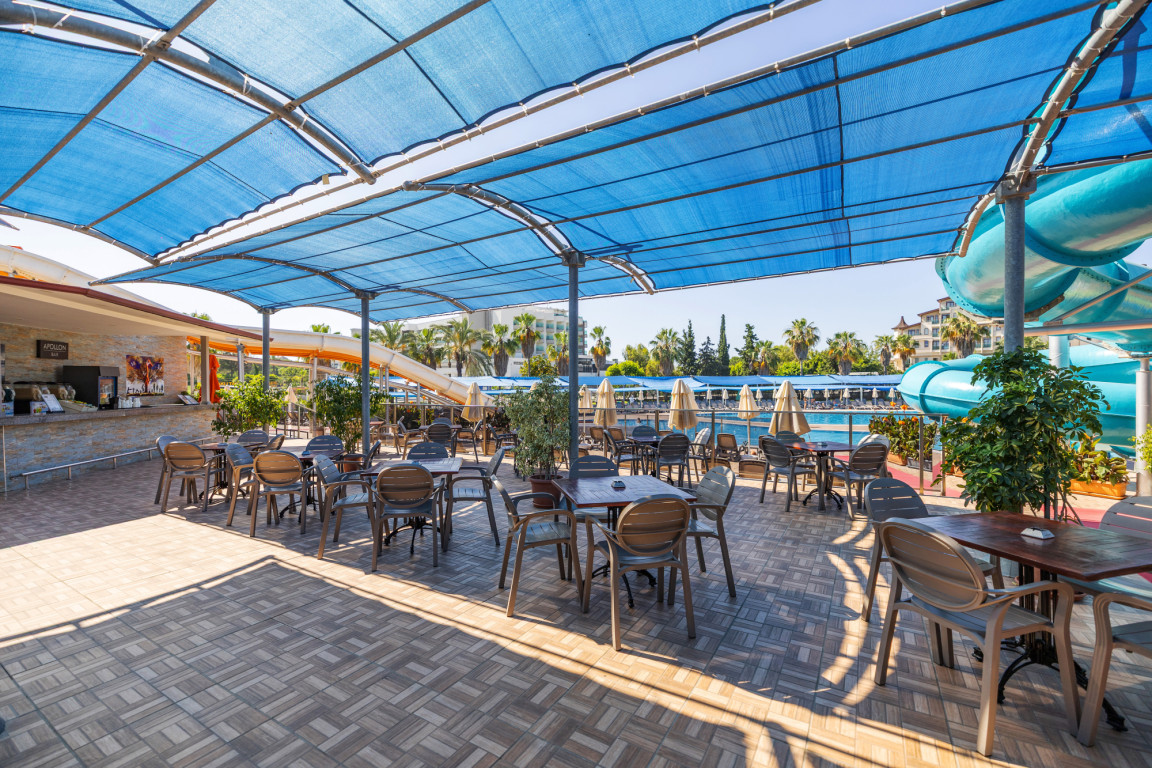 Apollon Bar
