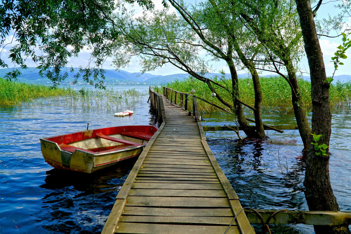 featured image
