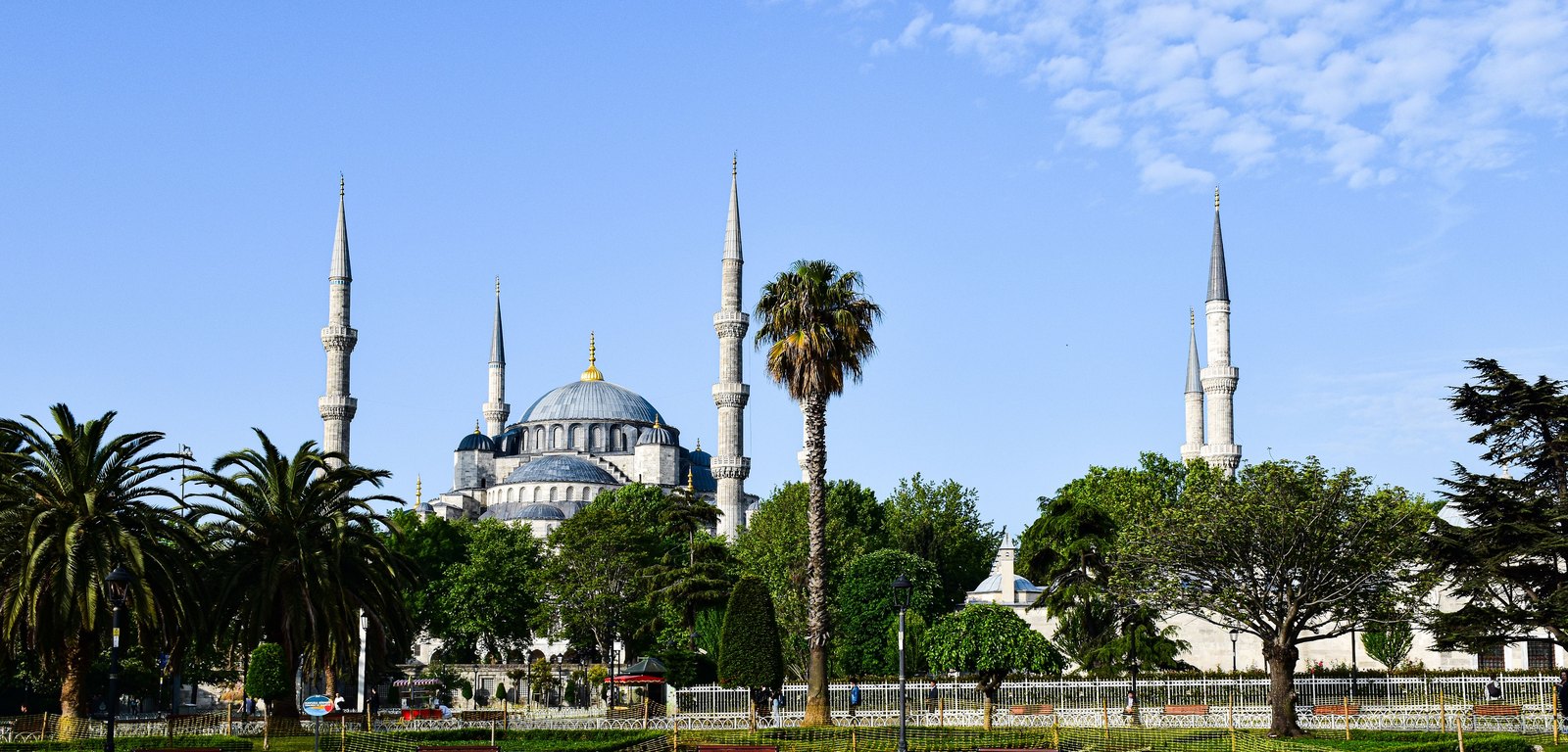 featured image